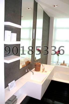 Park Infinia At Wee Nam (D11), Condominium #109758952